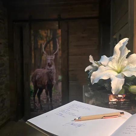 Dcb شقة بورمْيو