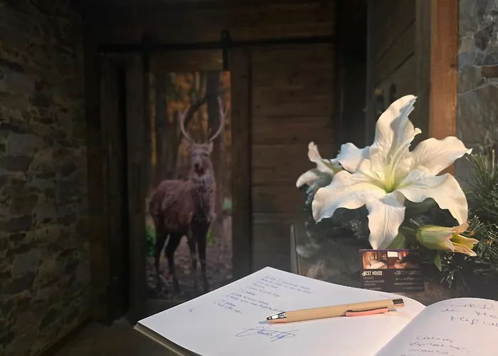 Dcb Appartement Bormio